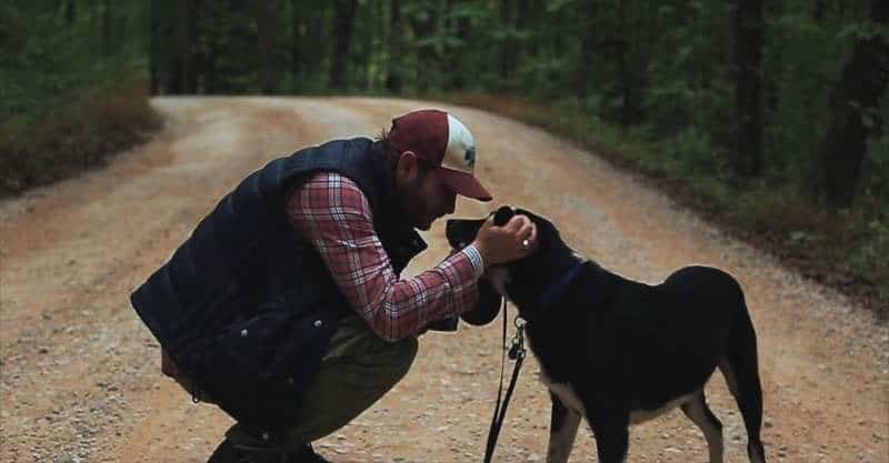 27 Songs About Losing Your Dog Music Industry How To