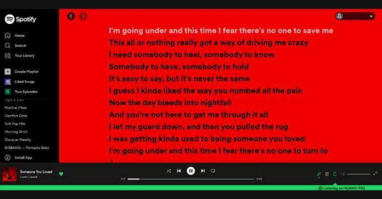 Spotify Karaoke; How To Get It & Use Karaoke Mode - Music Industry How To