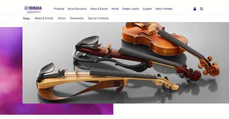 14 Best Violin Brands Ever Music Industry How To